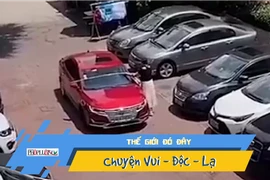 Hài hước người phụ nữ trước khi đỗ xe phải đo kích thước