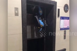 Chú bé thoát chết trong gang tấc nhờ chiếc xe đồ chơi