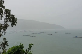 Phú Yên: mưa to, gió mạnh, sóng biển dâng cao 