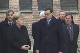 Bà Merkel lại suýt vấp ngã, dấy tin đồn về sức khỏe giảm sút