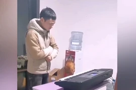 Thanh niên dạy gà 'chơi' piano tài tình