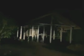 Voi vào nhà dân, đập phá để kiếm ăn