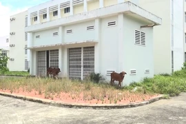 Cận cảnh 2 bệnh viện hàng trăm tỉ bỏ hoang ở Bình Dương
