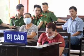 Giả danh cán bộ Sở Nội vụ lừa đảo chiếm đoạt 3,4 tỷ