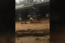 Video: Cứu người bị lũ cuốn trôi ở Nam Trà My