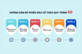 Video: Hướng dẫn bỏ phiếu bầu cử theo quy trình 6D