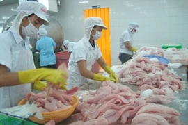 Lùi thời hạn áp dụng VietGAP nuôi cá tra đến cuối 2016 
