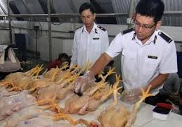 Cấm 5 chất gây ung thư trộn trong thức ăn chăn nuôi