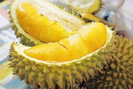 Sầu riêng, chôm chôm nghịch vụ giá tăng mạnh