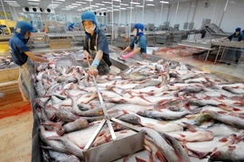 Thượng viện Mỹ bỏ giám sát cá tra VN, chờ ông Obama ký thành luật
