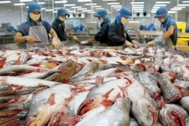 Mỹ sẽ 'soi' 100% các lô hàng thủy sản xuất khẩu từ Việt Nam 