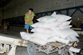 Gạo Việt có hợp đồng 'khủng' 1 triệu tấn/năm