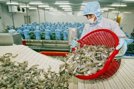 Trung Quốc bất ngờ 'ăn' mạnh tôm Việt Nam