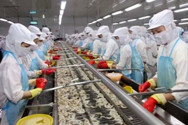 Hàng Việt bất ngờ thua hàng Trung Quốc tại Hàn Quốc