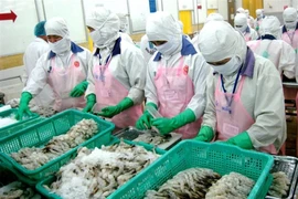 Nhiều mặt hàng tôm Việt Nam xuất sang EU hưởng thuế 0%