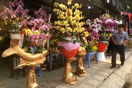 Cá chép mạ vàng 'cõng' hoa lan đắt khách ngày ông Táo