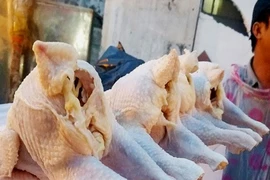 90.000 tấn thịt gà nhập về Việt Nam giá rẻ bèo 23.000 đồng/kg