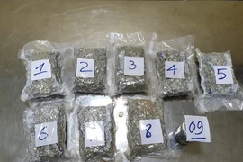 Bắt giữ 2,3kg ma túy tại sân bay Tân Sơn Nhất