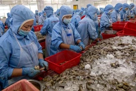 Mỹ gây 'sốc' khi áp thuế bán phá giá 0% với tôm Việt Nam 