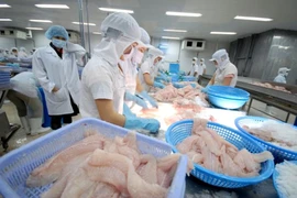 Nhiều đại gia cá tra Việt lãi khủng nhờ người Mỹ, EU ăn nhiều