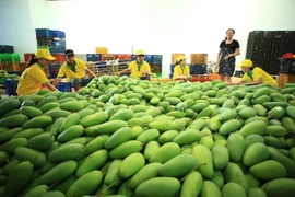 'Người Mỹ rất thích ăn xoài Việt Nam' 