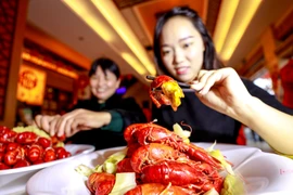 Phó Thủ tướng yêu cầu kiểm tra tôm càng đỏ 