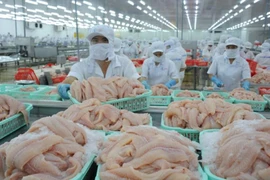 Bán qua Alibaba, cá tra Việt 'tấn công' Bắc Kinh, Thượng Hải 