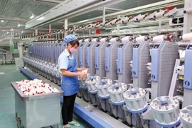 'Nhiều công ty Việt sẽ bị nhà đầu tư Trung Quốc thôn tính'