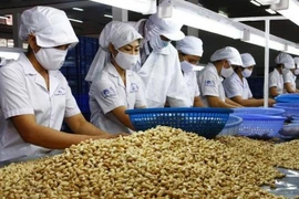 Trung Quốc tăng mua hạt điều vì nhiều dinh dưỡng 