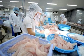 Mỹ đánh thuế cao, cá tra Việt 'bơi' sang Trung Quốc