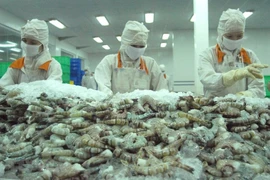 Hàng trăm tấn tôm nằm chờ vì tắc đường sang Trung Quốc 
