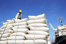 Gạo đầy kho, DN và các tỉnh đề xuất cho xuất khẩu trở lại
