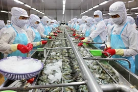 Hàng loạt đơn hàng cá, tôm bị khách nước ngoài hủy mua