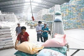 Mới: Phải cho xuất khẩu gạo bình thường, bỏ ngay hạn ngạch 