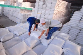 Trung Quốc, Châu Phi... mua nhiều gạo Việt Nam