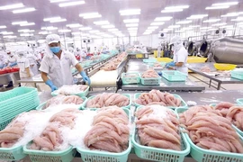 Cá tra Việt lại lo tắc đường sang Trung Quốc