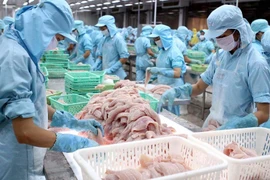 Hai 'đại gia' cá tra không bị Mỹ đánh thuế bán phá giá