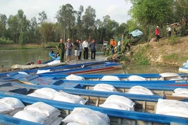 Bất thường đường ngoại nhập vào Việt Nam