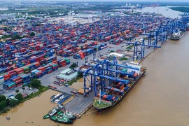 Hàng tồn tăng, cảng Cát Lái ngưng nhận hàng siêu trường, siêu trọng