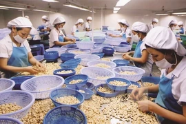 Thủ tướng chỉ đạo khẩn vụ nguy cơ bị lừa hàng trăm tỉ