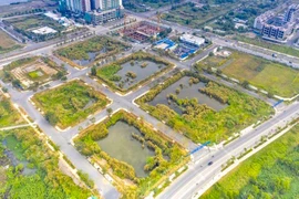 2 doanh nghiệp trúng đấu giá đất Thủ Thiêm ‘hứa’ nộp 100 tỉ đồng trước 30-4