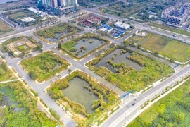 Cưỡng chế tài khoản thu nợ thuế của 2 công ty trúng đấu giá đất Thủ Thiêm 