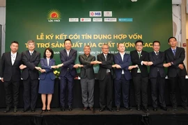 7 ngân hàng 'bơm' 100 triệu USD cho sản xuất lúa chất lượng cao