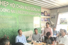 Hàng ngàn trang trại ở thủ phủ chăn nuôi 'kêu cứu' vì bị di dời 