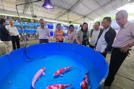 Khai mạc lễ hội cá cảnh 'khủng' nhất tại TP.HCM