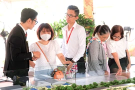 Các tập đoàn nội bắt tay cùng phát triển dự án bất động sản 