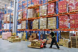 Thương mại điện tử TP.HCM tăng trưởng vượt bậc 52%