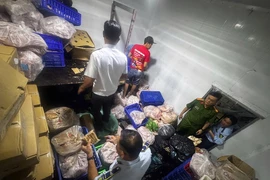 Đột kích kho lạnh doanh nghiệp, lộ diện hơn 740kg thịt cá không rõ nguồn gốc 