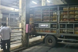 Chặn đứng hai tấn vịt lậu, triệt phá lò mổ heo trái phép giữa TP.HCM