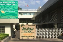 TP.HCM: Nhiều cá nhân, đơn vị bị kỷ luật về Đảng 